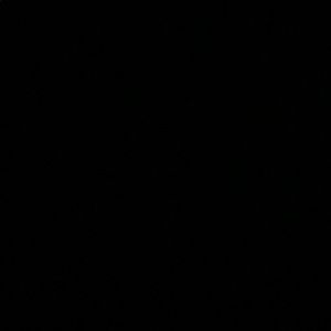 Meet your Posher, Audrey